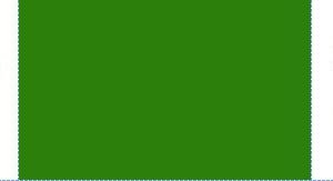TAG,P,"SOFTENED WATER SHUTOFF",GREEN ON WHITE,1.5 X 6.75 INCHES